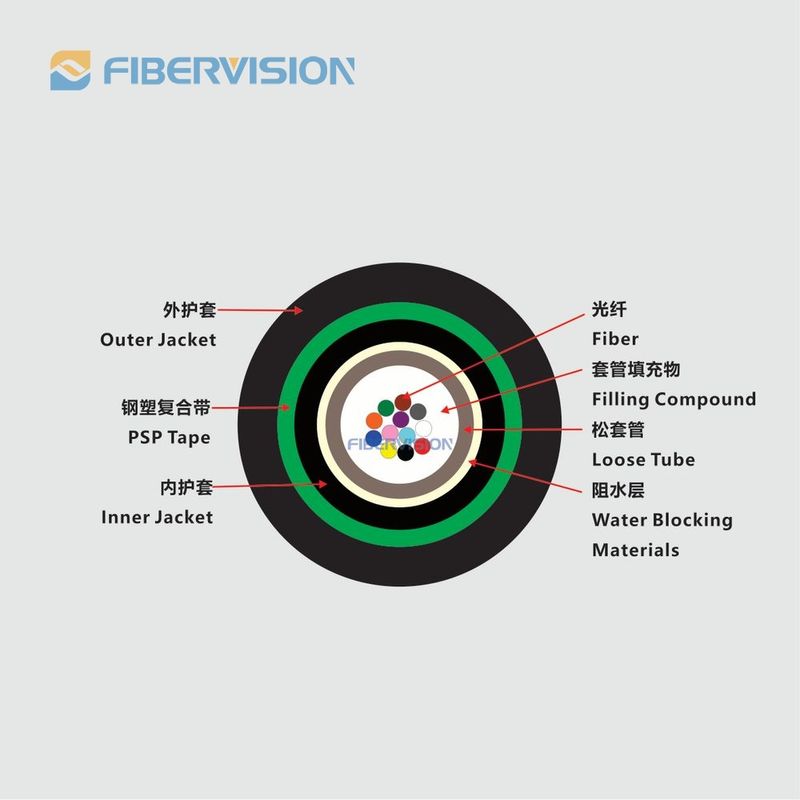 F304-DBA-53-GYXTY53.jpg